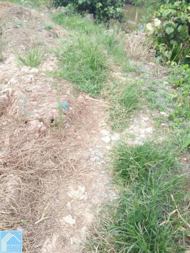 Đất 6.75x22 nhánh TL923 Tổng 150m2 Rạch Mương Bông Đất 6.75x22 nhánh TL923 Tổng 150m2 Rạch Mương Bông