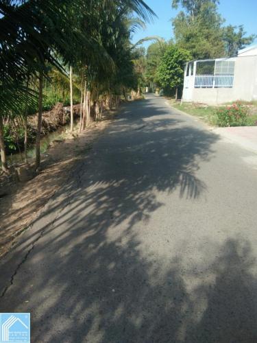 Đất thổ cư 5x28 mặt tiền Phạm Thị Ban Lộ 8M Đất thổ cư 5x28 mặt tiền Phạm Thị Ban Lộ 8M