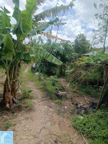 ĐẤT ĐẸP - GIÁ TỐT - Bán GẤP Lô Đất Tiềm Năng Tại Phường Thường Thạnh, Quận Cái Răng, Cần Thơ