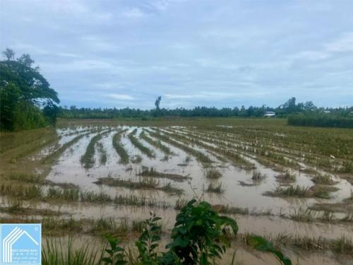 ĐẤT ĐẸP – GIÁ RẺ  - CẦN BÁN NHANH 2 LÔ ĐẤT Tại Quận BÌNH THỦY, TP CẦN THƠ