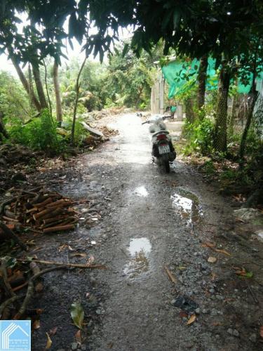 Đất CLN+LUA 4543m2 Lộ 3M Phước Thới Ô Môn Đất CLN+LUA 4543m2 Lộ 3M Phước Thới Ô Môn