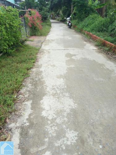 Đất thổ cư 300m2, 5000m2 CLN Quận Ô Môn gần chợ Bến Đò Đu Đủ Đất thổ cư 300m2, 5000m2 CLN Quận Ô Môn gần chợ Bến Đò Đu Đủ