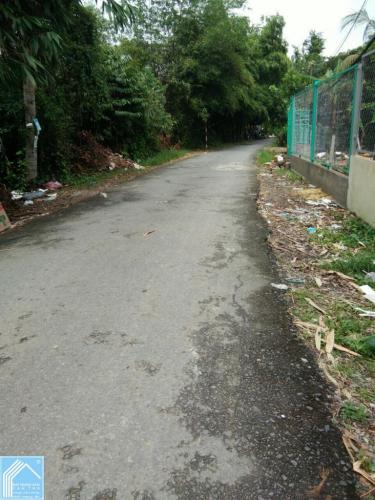 Đất 6x33 tổng 200m2 CLN hẻm nhánh Nguyễn Thanh Sơn Đất 6x33 tổng 200m2 CLN hẻm nhánh Nguyễn Thanh Sơn