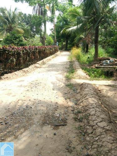 Đất thổ cư 419m2 hẻm nhánh Tỉnh Lộ 923 Trường Lạc Ô Môn Đất thổ cư 419m2 hẻm nhánh Tỉnh Lộ 923 Trường Lạc Ô Môn