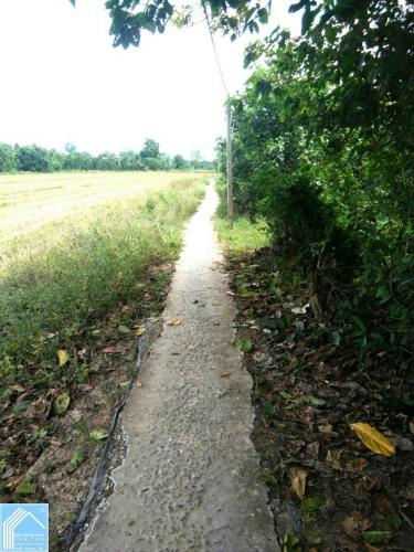 Đất ruộng Phước Thới Ô Môn 3455m2 giá rẻ cập Kênh Thủy Lợi Đất ruộng Phước Thới Ô Môn 3455m2 giá rẻ cập Kênh Thủy Lợi