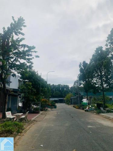 HÀNG THƠM CẶP NỀN ĐƯỜNG SỐ 28 KDC 586 