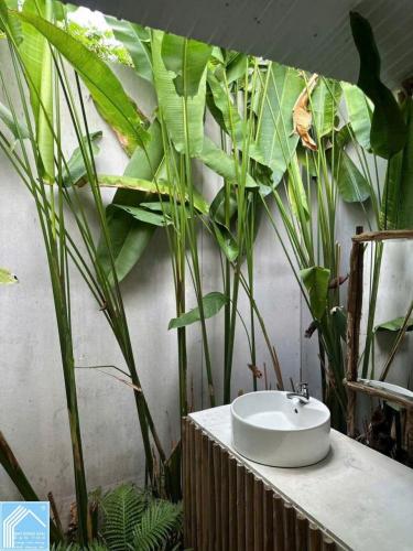 HOMESTAY BÁN NHÀ SÂN VƯỜN KHU NÔNG THỔ SẢN, P. HƯNG PHÚ (MỚI), CẦN THƠ.