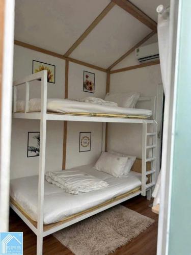   HOMESTAY BÁN NHÀ SÂN VƯỜN KHU NÔNG THỔ SẢN, P. HƯNG PHÚ (MỚI), CẦN THƠ.