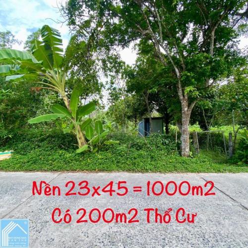 Nền Đẹp 1000m2 Có Thổ Cư, Nhơn Ái, Cách Chợ Phong Điền 600m.