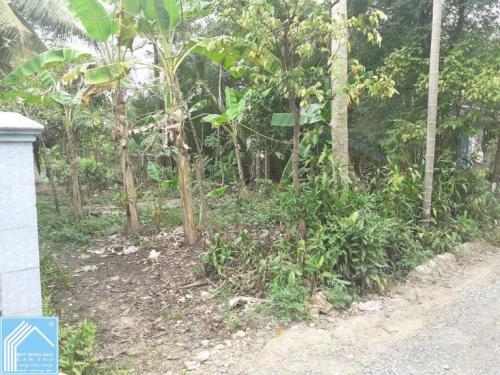Nền đẹp tiềm năng giáp khu tái định cư Nhơn Nghĩa, H. Phong Điền, Cần Thơ Nền đẹp tiềm năng giáp khu tái định cư Nhơn Nghĩa, H. Phong Điền, Cần Thơ
