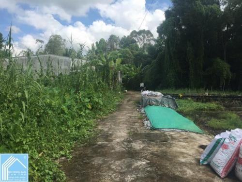 Nền hẻm đường Đinh Công Chánh, gần Chợ Phó Thọ, Long Tuyền, Cần Thơ
