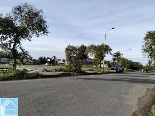 Nền Khu Văn Hóa Tây Đô 