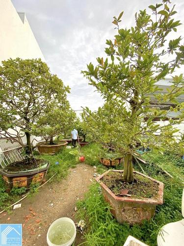Nền Trục chính Hẻm 278 đường Tầm Vu - Cách Lộ Tầm Vu Chỉ 50m, P.Tân An Mới
