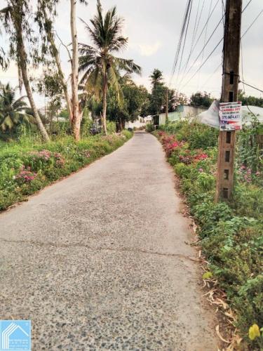 Đất 4x24 thổ cư Lộ 5m Thới Trinh Ô Môn Đất 4x24 thổ cư Lộ 5m Thới Trinh Ô Môn