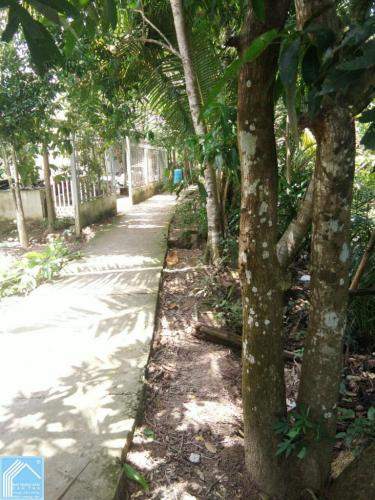 Đất thổ cư 10x36 Nhánh Đường Tạ Thị Phi Đất thổ cư 10x36 Nhánh Đường Tạ Thị Phi