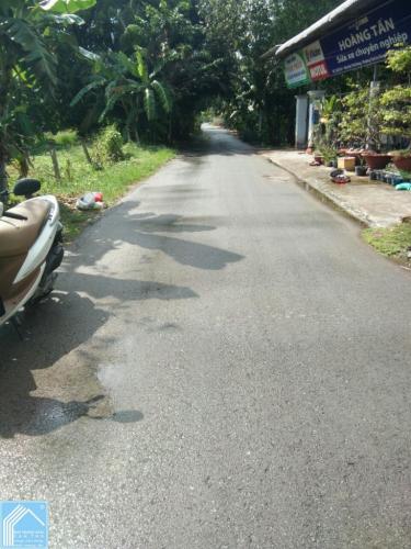 Đất CLN 6x47 mặt tiền Đường Phạm Thị Ban Đất CLN 6x47 mặt tiền Đường Phạm Thị Ban