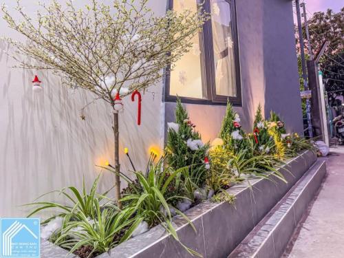 NHÀ PHỐ 1 LẦU KIẾN TRÚC HIỆN ĐẠI SANG TRỌNG | HẺM 102 ĐƯỜNG LÊ ANH XUÂN | THÔNG RA CÔNG VIÊN