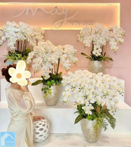 Sang shop hoa Mây Home Decor gần đầu đường Lý Chính Thắng Cần Thơ